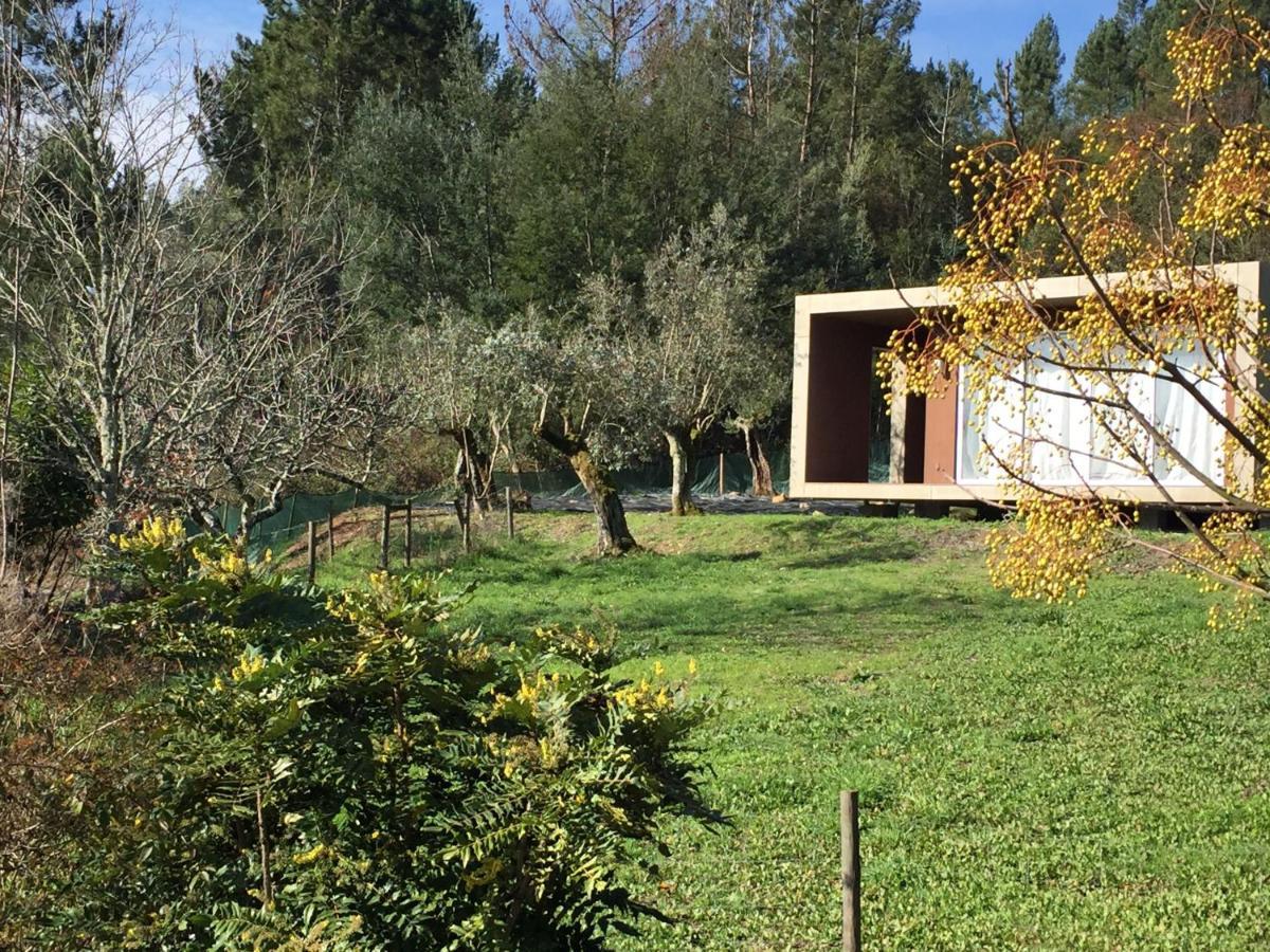 Adore Portugal Bungalow Natureza & Vista De Serra Lousa  Luaran gambar