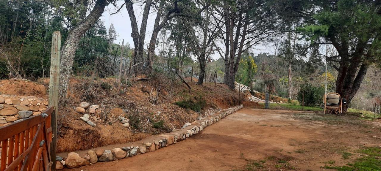 Adore Portugal Bungalow Natureza & Vista De Serra Lousa  Luaran gambar